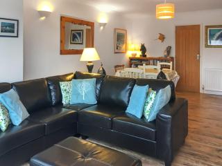 Teifi View - Cardigan - 7