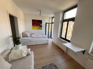 Apartment in Paulusviertel - Halle an der Saale - 4