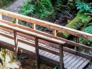 Grouse Lodge - Dunoon - 1