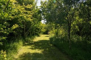 Idyllic hideaway with hot tub, gym & gamesroom - Penzance - 1