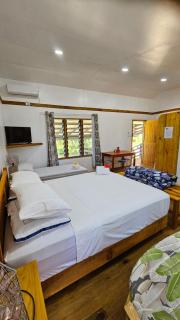 Queens Inn, Queen Elizabeth 1 Apartment - Pacific Harbour - 3