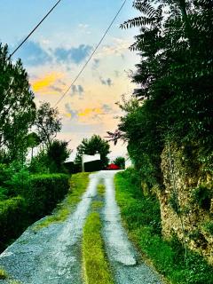 Green Resort - - 4