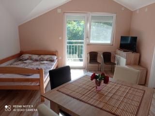 Apartman Alfa 10 - 5