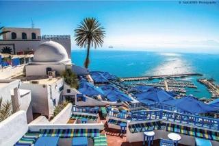 Coquette studio au village - Sidi Bou Saïd - 9