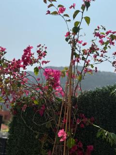 Rare, private garden, 2bdr, Monaco border - Beausoleil - 6
