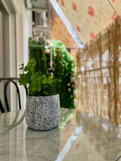 Yiayias home - Retro tranquility near Syntagma - Athen - 0