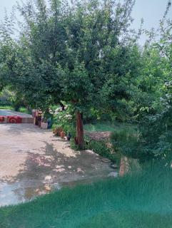 Ferme d'amezmiz - Amizmiz - 2