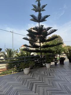 Hotel MARIN - 6