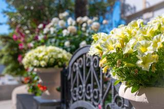 Apartments with parking space Povljana, Pag - 233 - 4