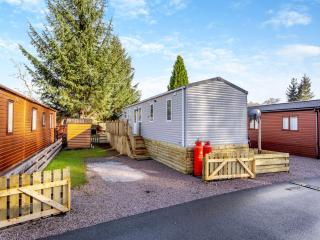 The Pines - Aviemore - 1