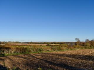 Cherry Cottage - Ipswich - 6