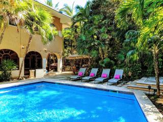 Villa Steps to Beach Sleep 29 Largest Pool in Playa - Playa del Carmen - 5