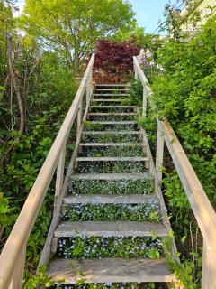 Oceanfront Garden Cottage - Chester - 9