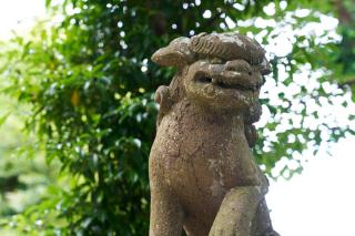 Reserved for 10 people 1 minute walk to the beach 6 minutes to Hase Station 12 minutes to the Great Buddha 最大10名様 徒歩で海1分 ｺﾝﾋﾞﾆ30秒 長谷駅6分 極楽寺駅6分 大仏12分 貸切一軒家96ｍ2 閑静な古民家 星の井庵 - Kamakura - 4