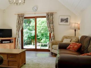 Trem Yr Ynys - Betws-y-coed - 9