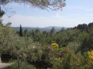 Mansion in Var with Private Pool - Tourrettes - 1