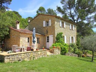 Mansion in Var with Private Pool - Tourrettes - 7