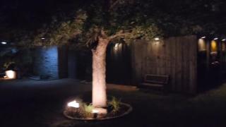 Cozy Fredericksburg Retreat Fire Pit & Wineries - Fredericksburg - 2