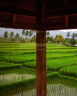 Alang Cottage - Masbagik - 2