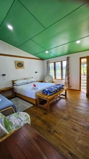 Queens Inn, Queen Elizabeth 1 Apartment - Pacific Harbour - 5