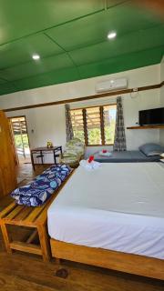 Queens Inn, Queen Elizabeth 1 Apartment - Pacific Harbour - 6