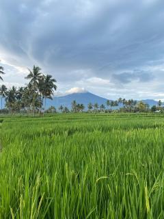 Alang Cottage - Masbagik - 9
