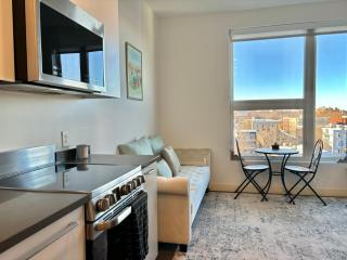 Charming 1B1B studio near Harvard and MIT with beautiful views - 8