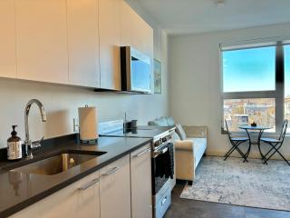 Charming 1B1B studio near Harvard and MIT with beautiful views - 6