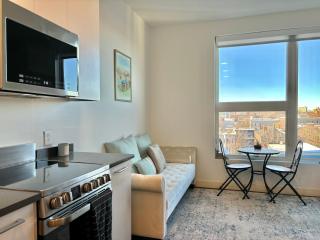 Charming 1B1B studio near Harvard and MIT with beautiful views - 4