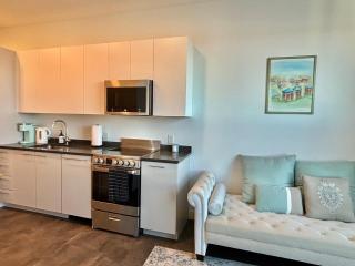 Charming 1B1B studio near Harvard and MIT with beautiful views - 3