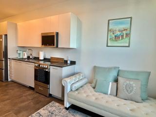 Charming 1B1B studio near Harvard and MIT with beautiful views - 2