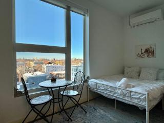 Charming 1B1B studio near Harvard and MIT with beautiful views - 1