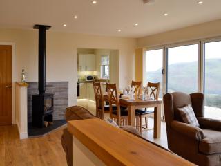 Sweet Meadow Lodge - Llandrindod Wells - 9