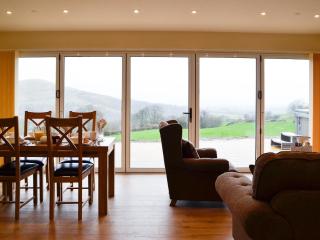 Sweet Meadow Lodge - Llandrindod Wells - 6