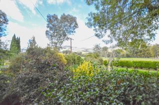Mt Buffalo Views - Myrtleford - 8