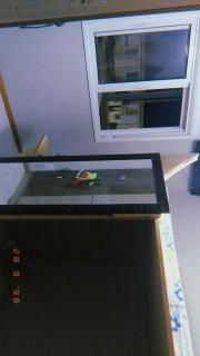 Apartamento Mobiliado - Guaíba - 1