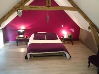 Maison de charme avec grand dortoir, jardin privé et terrasse, proche Val Joly - FR-1-510-162 - Liessies - 6