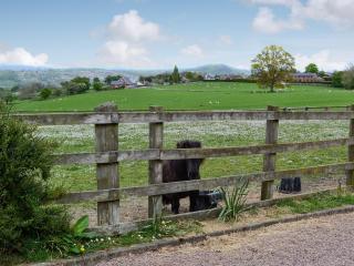 Powis Castle View - 8
