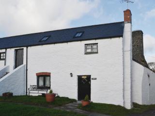 Gareth - 19077 - Carew - 0