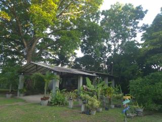 Peaceful Retreat in Atlantic Forest - 8