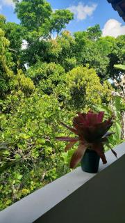 Peaceful Retreat in Atlantic Forest - Recife - 5
