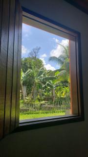Peaceful Retreat in Atlantic Forest - 4