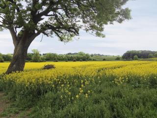 Sykelands Cottage - Ravensworth - 1
