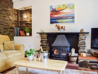 Ty Lewis Cottage - Llanelli - 5