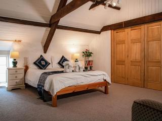 Hen Efail - Old Smithy - Tregaron - 4