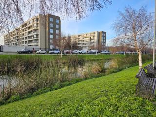 Cómodo departamento en Brisa del Sol - Talcahuano - 7