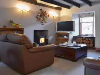 Craigdarroch Cottage - Strathyre - 9