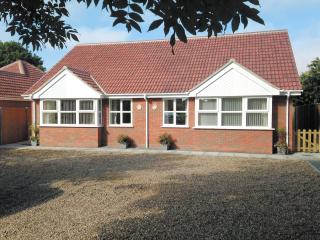 Sea Shells - Sutton-on-Sea - 0