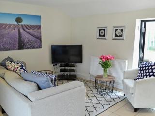 Pond-B6844 - Sedghill - 0