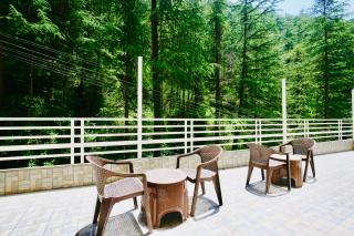 Nature Retreat new shimla #city centre #near to mall road #private parking #Balcony view - 5